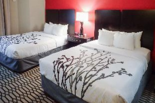 Sleep Inn & Suites BWI Airport image 3