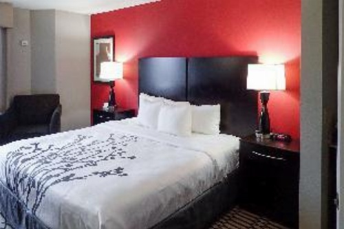 Sleep Inn & Suites BWI Airport image 4